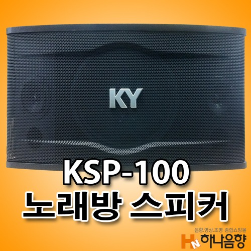 중고 금영 KSP-100 노래방 8인치 스피커